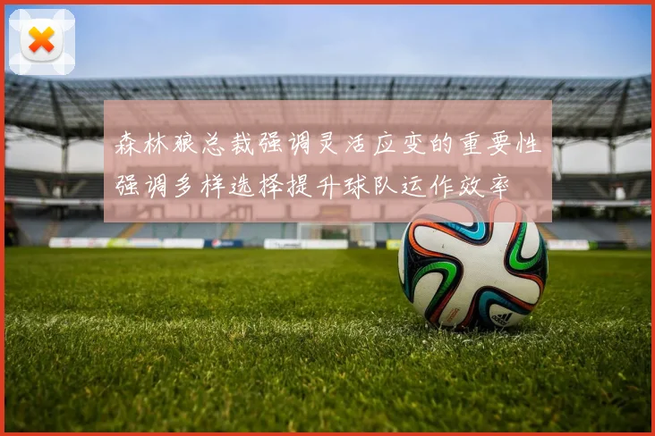 森林狼总裁强调灵活应变的重要性强调多样选择提升球队运作效率