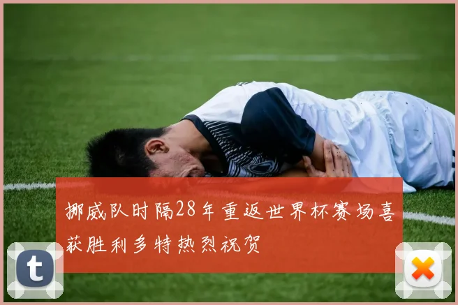 挪威队时隔28年重返世界杯赛场喜获胜利多特热烈祝贺