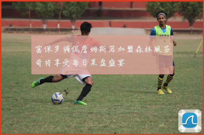 富保罗调侃詹姆斯若加盟森林狼芬奇将享受每日果盘盛宴