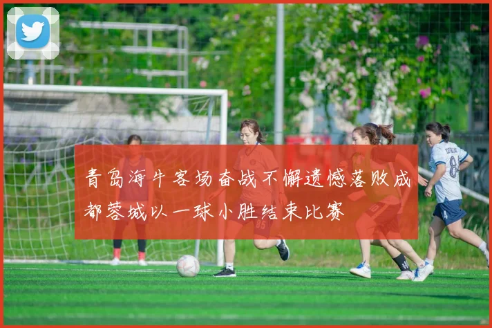 青岛海牛客场奋战不懈遗憾落败成都蓉城以一球小胜结束比赛