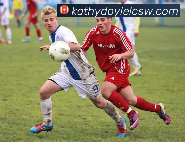 体育数据展示
